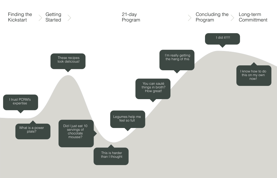 Illustration of journey map for the app